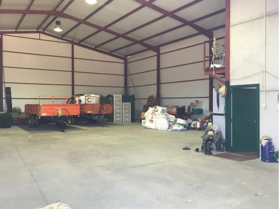 Terreno Misto para Venda em Estremoz (Santa Maria e Santo André) Foto 17