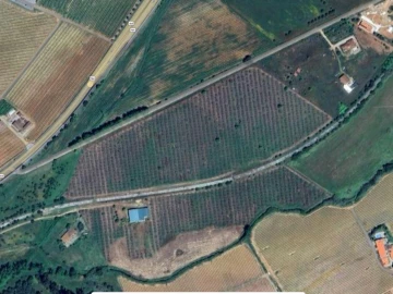 Terreno Misto para Venda em Estremoz (Santa Maria e Santo André)