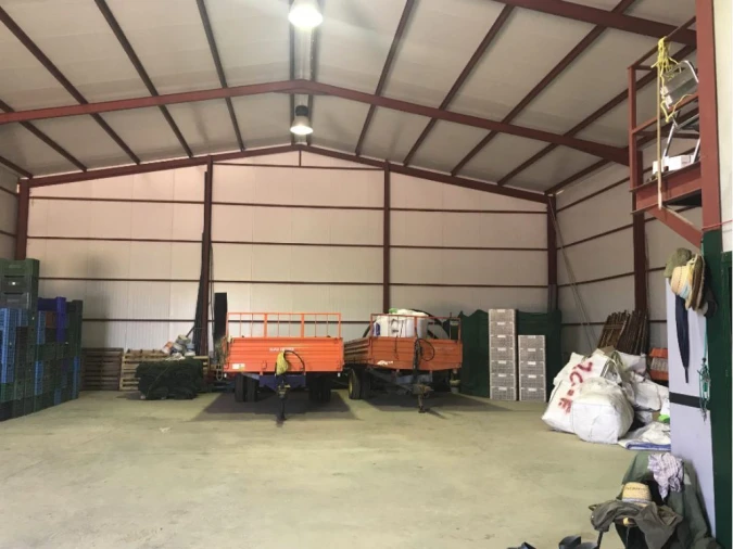 Terreno Misto para Venda em Estremoz (Santa Maria e Santo André) Foto 14