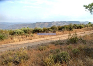 Terreno Agricola ou Rústico para Venda em Poiares