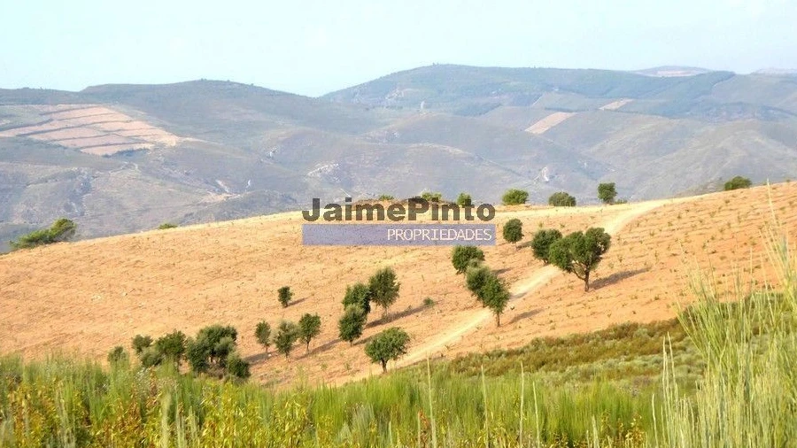 Terreno Agricola ou Rústico para Venda em Poiares