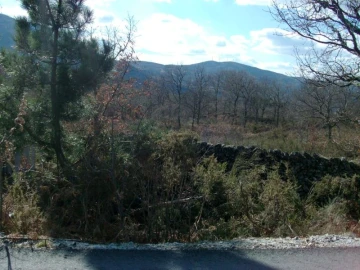 Terreno Agricola ou Rústico para Venda em Ruivães e Campos