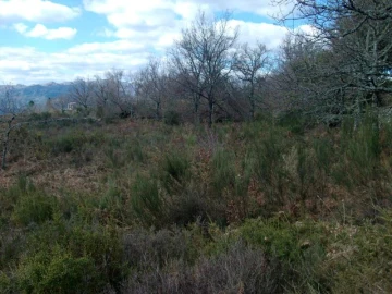 Terreno Agricola ou Rústico para Venda em Ruivães e Campos