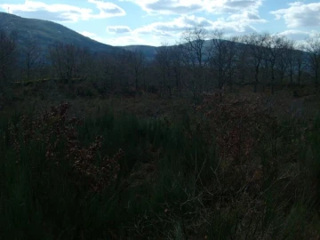 Terreno Agricola ou Rústico para Venda em Ruivães e Campos