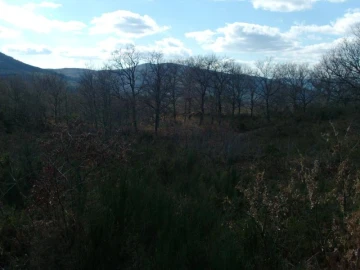 Terreno Agricola ou Rústico para Venda em Ruivães e Campos