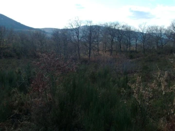 Terreno Agricola ou Rústico para Venda em Ruivães e Campos