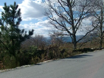 Terreno Agricola ou Rústico para Venda em Ruivães e Campos