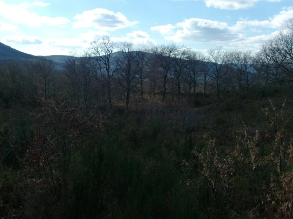 Terreno Agricola ou Rústico para Venda em Ruivães e Campos Foto 5