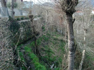 Terreno Agricola ou Rústico para Venda em Vieira do Minho