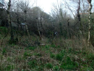 Terreno Agricola ou Rústico para Venda em Vieira do Minho