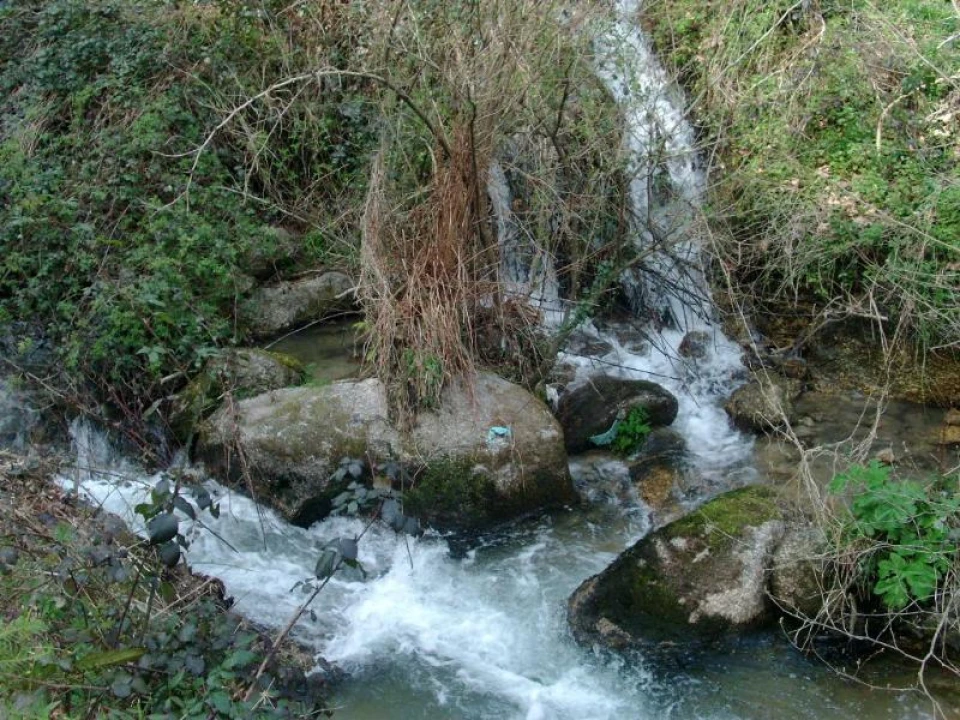 Terreno Agricola ou Rústico para Venda em Vieira do Minho Foto 1