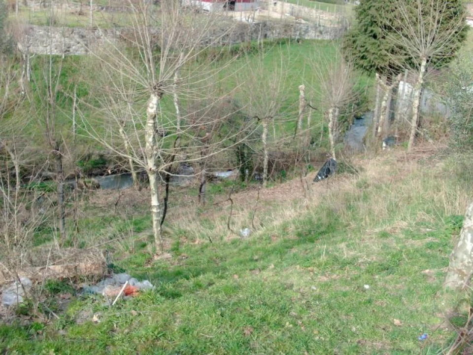 Terreno Agricola ou Rústico para Venda em Vieira do Minho Foto 3