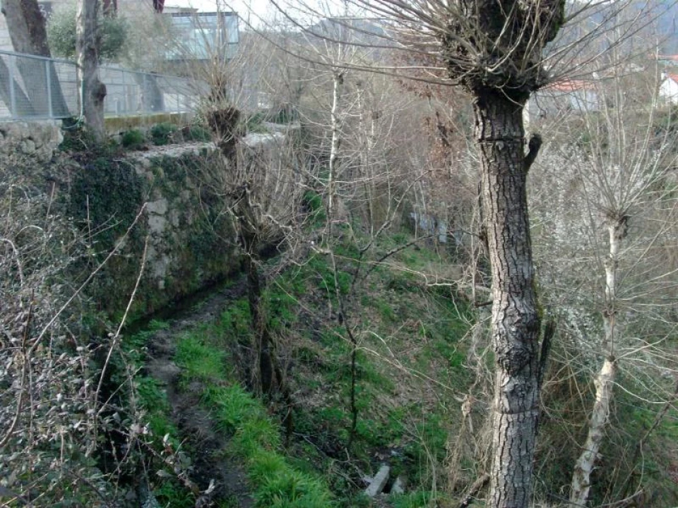 Terreno Agricola ou Rústico para Venda em Vieira do Minho Foto 6
