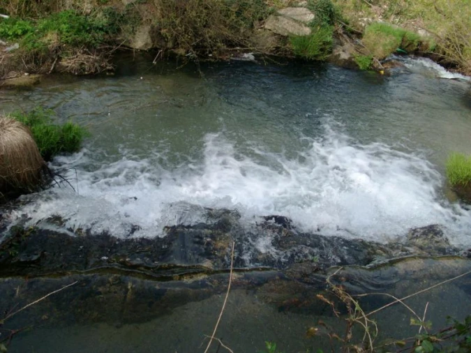 Terreno Agricola ou Rústico para Venda em Vieira do Minho Foto 2