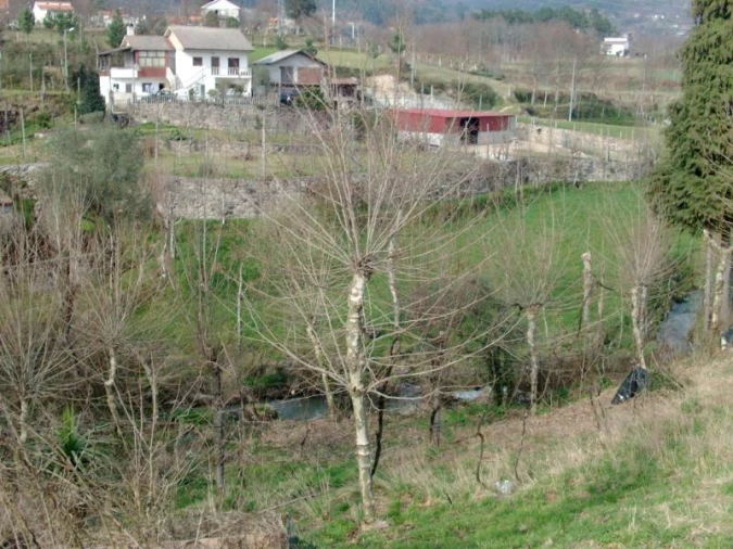 Terreno Agricola ou Rústico para Venda em Vieira do Minho Foto 4