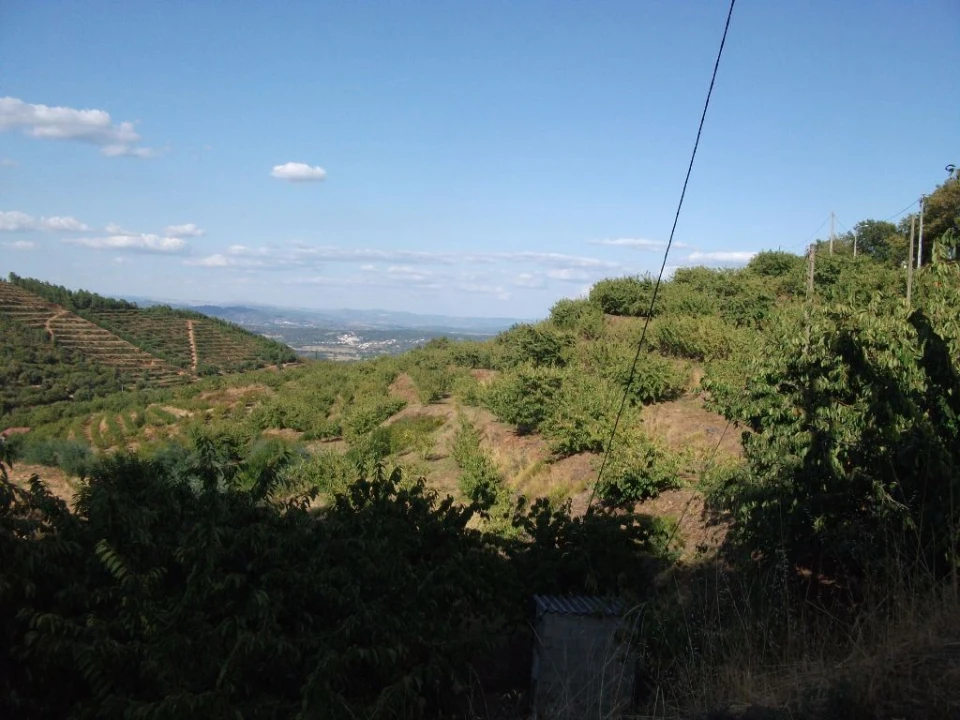 Terreno Agricola ou Rústico para Venda em Alcongosta Foto 1
