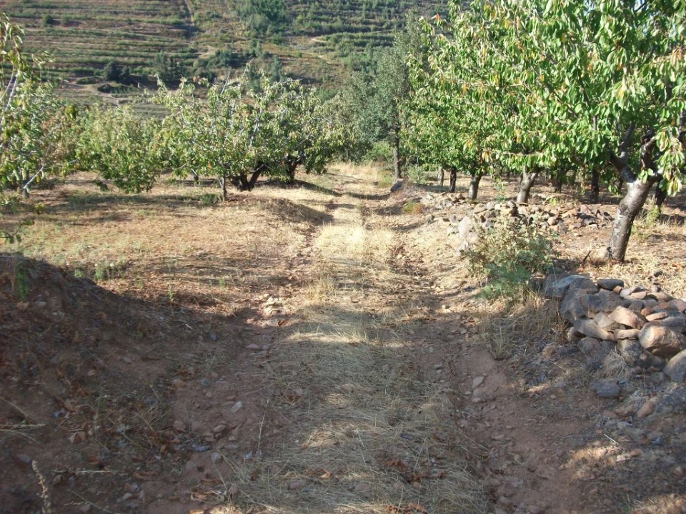 Terreno Agricola ou Rústico para Venda em Alcongosta Foto 12