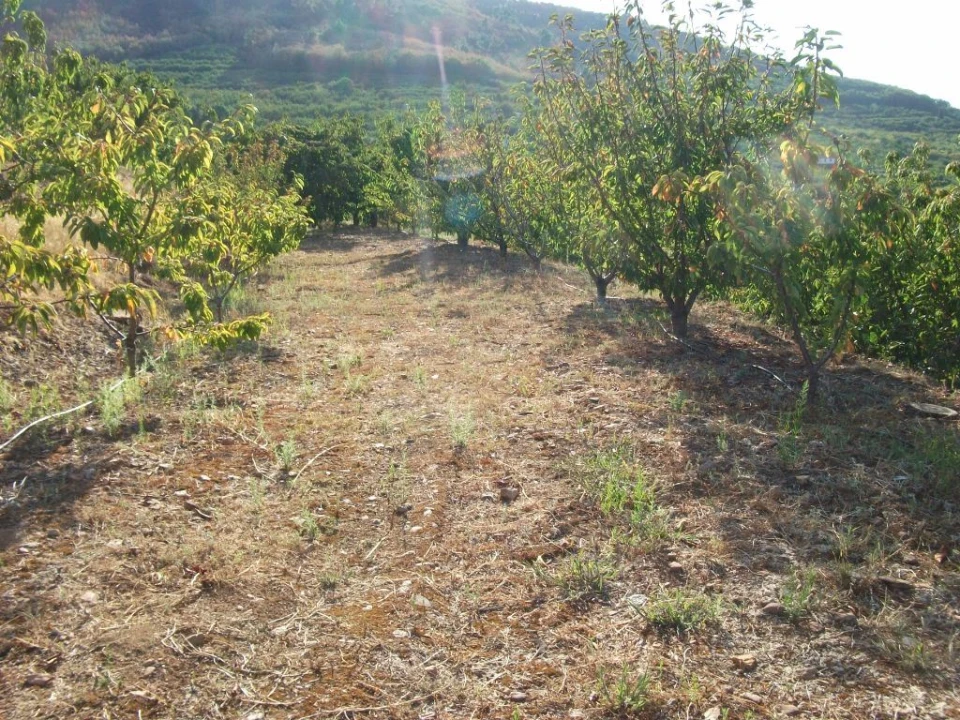 Terreno Agricola ou Rústico para Venda em Alcongosta Foto 13