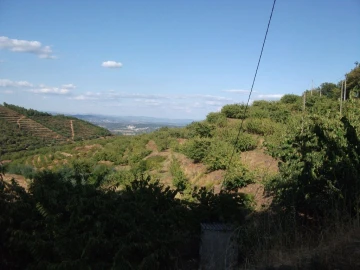 Terreno Agricola ou Rústico para Venda em Alcongosta