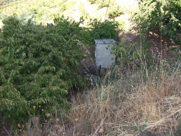 Terreno Agricola ou Rústico para Venda em Alcongosta