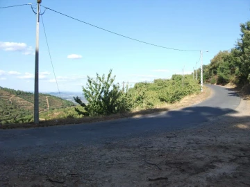 Terreno Agricola ou Rústico para Venda em Alcongosta