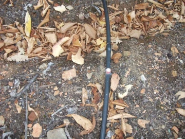 Terreno Agricola ou Rústico para Venda em Alcongosta