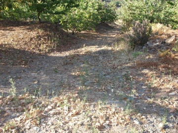 Terreno Agricola ou Rústico para Venda em Alcongosta