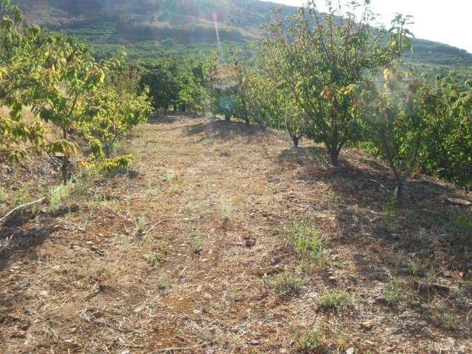 Terreno Agricola ou Rústico para Venda em Alcongosta Foto 13