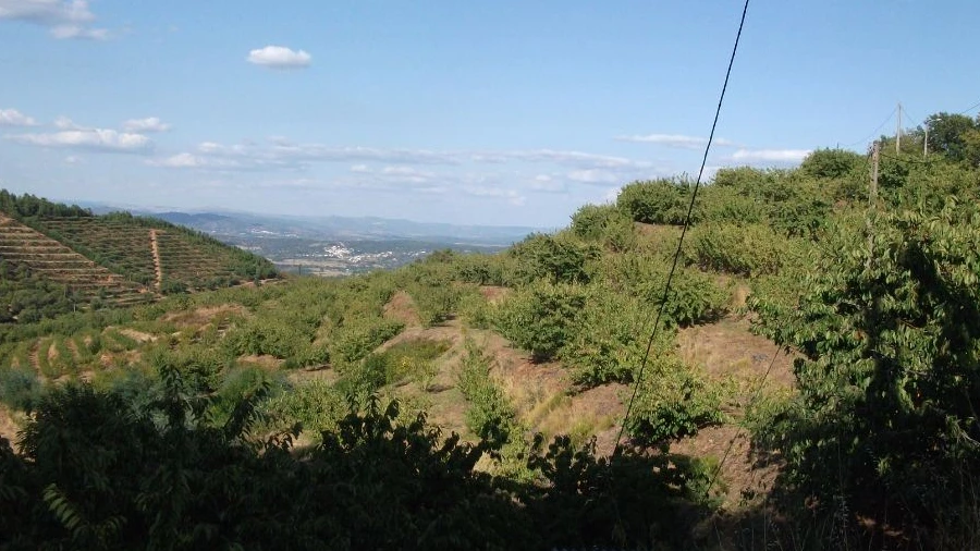 Terreno Agricola ou Rústico para Venda em Alcongosta