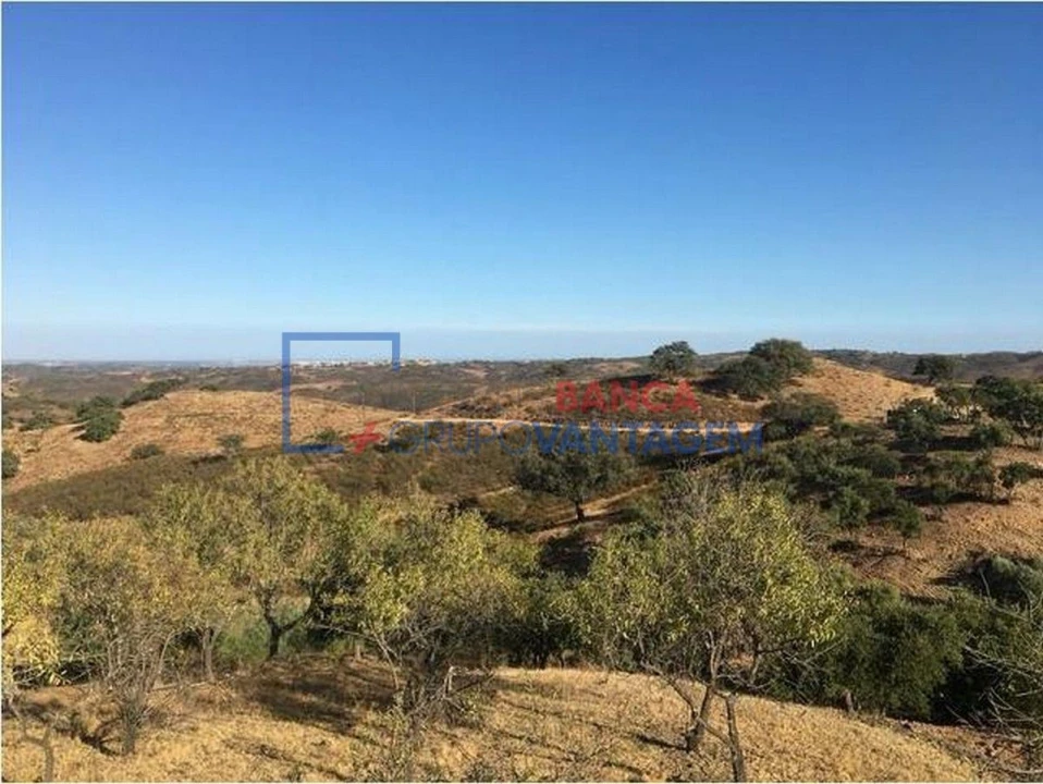 Terreno Agricola ou Rústico para Venda em Odeleite Foto 1
