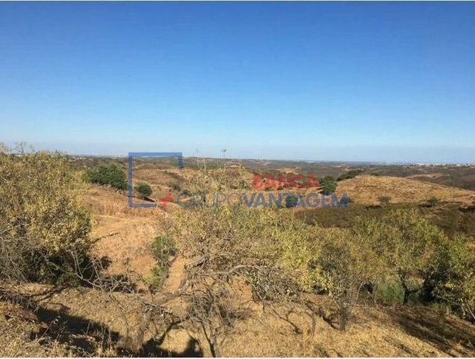 Terreno Agricola ou Rústico para Venda em Odeleite Foto 4