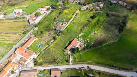 Terreno Agricola ou Rústico para Venda em Santo Quintino