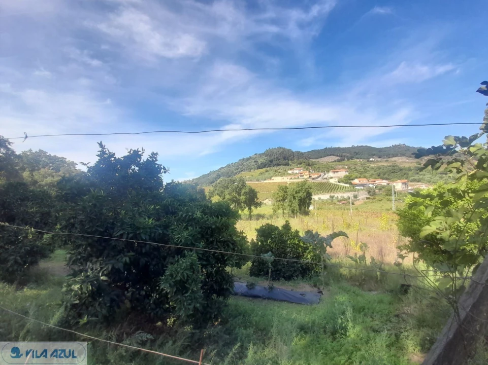 Quinta T3 para Venda em Barqueiros Foto 6