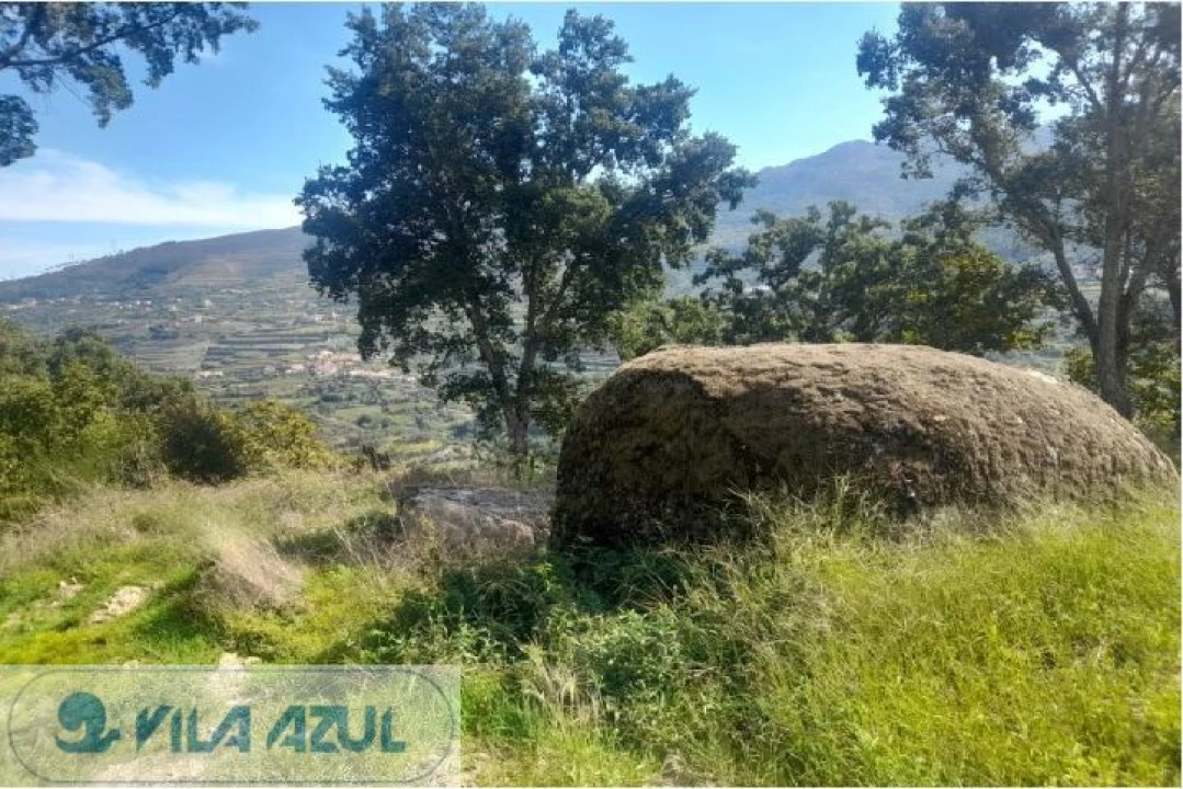 Quinta T3 para Venda em Barqueiros Foto 1