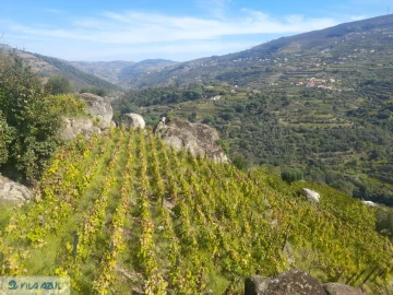Quinta T3 para Venda em Barqueiros