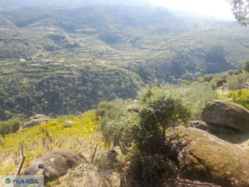 Quinta T3 para Venda em Barqueiros