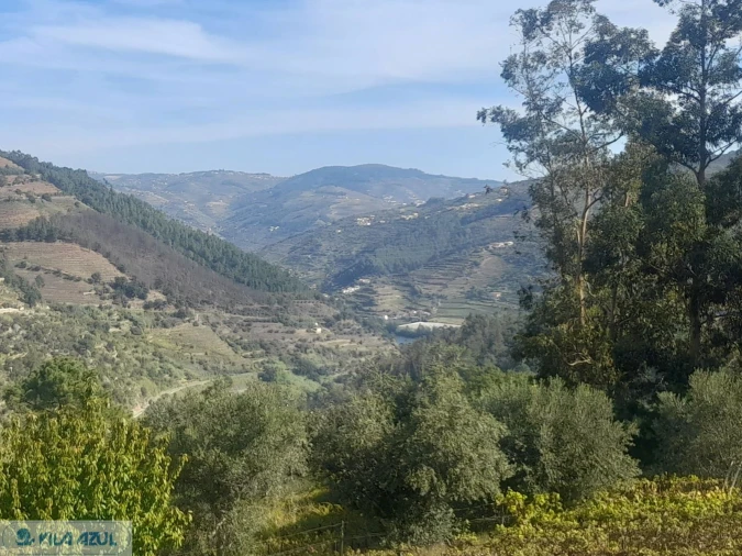 Quinta T3 para Venda em Barqueiros Foto 5