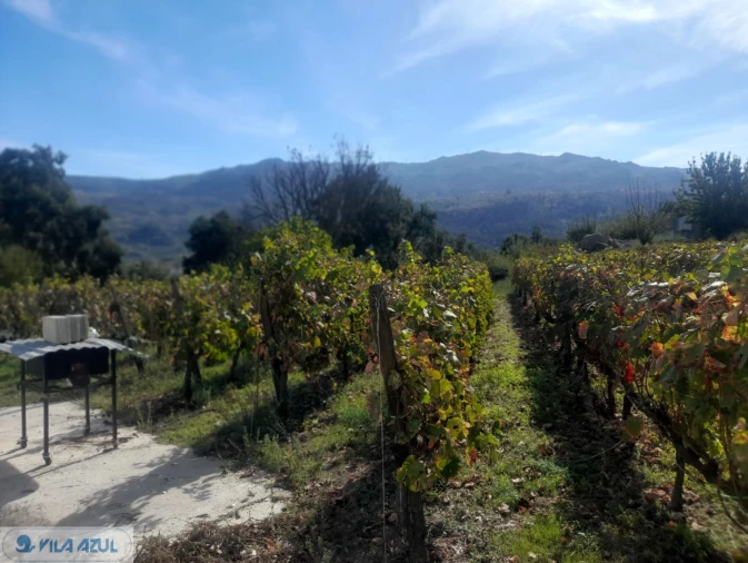 Quinta T3 para Venda em Barqueiros Foto 4