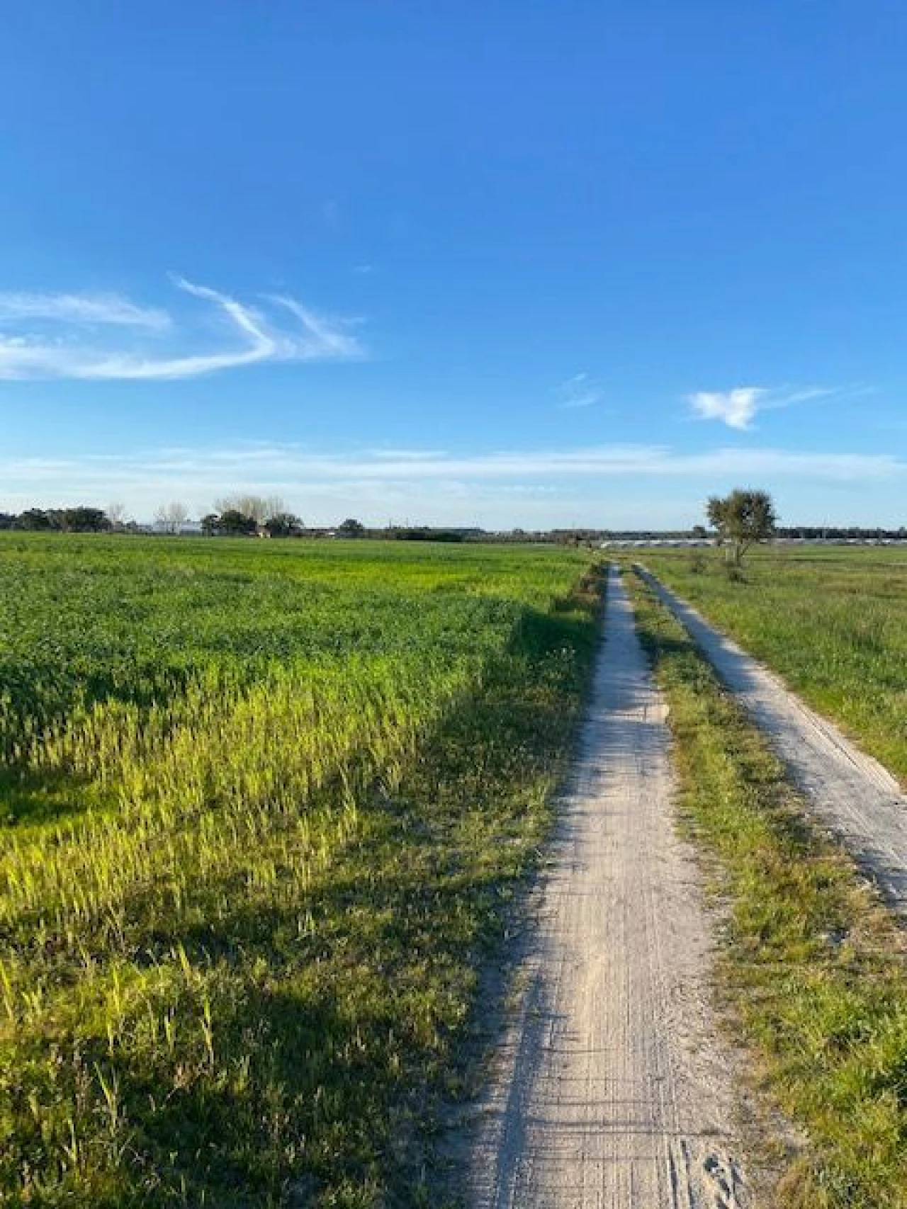 Quinta para Venda em Pegões Foto 14