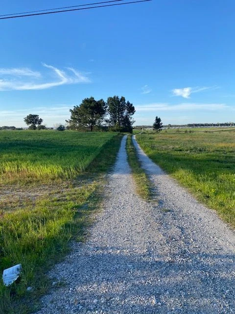 Quinta para Venda em Pegões