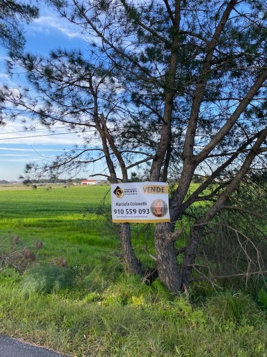 Quinta para Venda em Pegões Foto 7