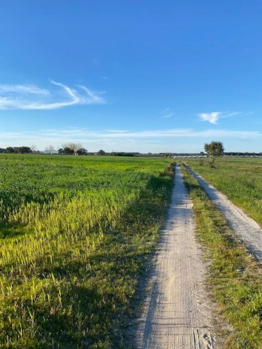 Quinta para Venda em Pegões Foto 14