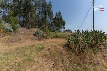 Terreno P/ Prédio para Venda em Nossa Senhora das Misericordias