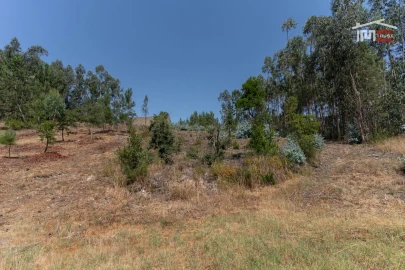 Terreno P/ Prédio para Venda em Nossa Senhora das Misericordias