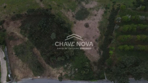 Terreno Agricola ou Rústico para Venda em Arcozelo