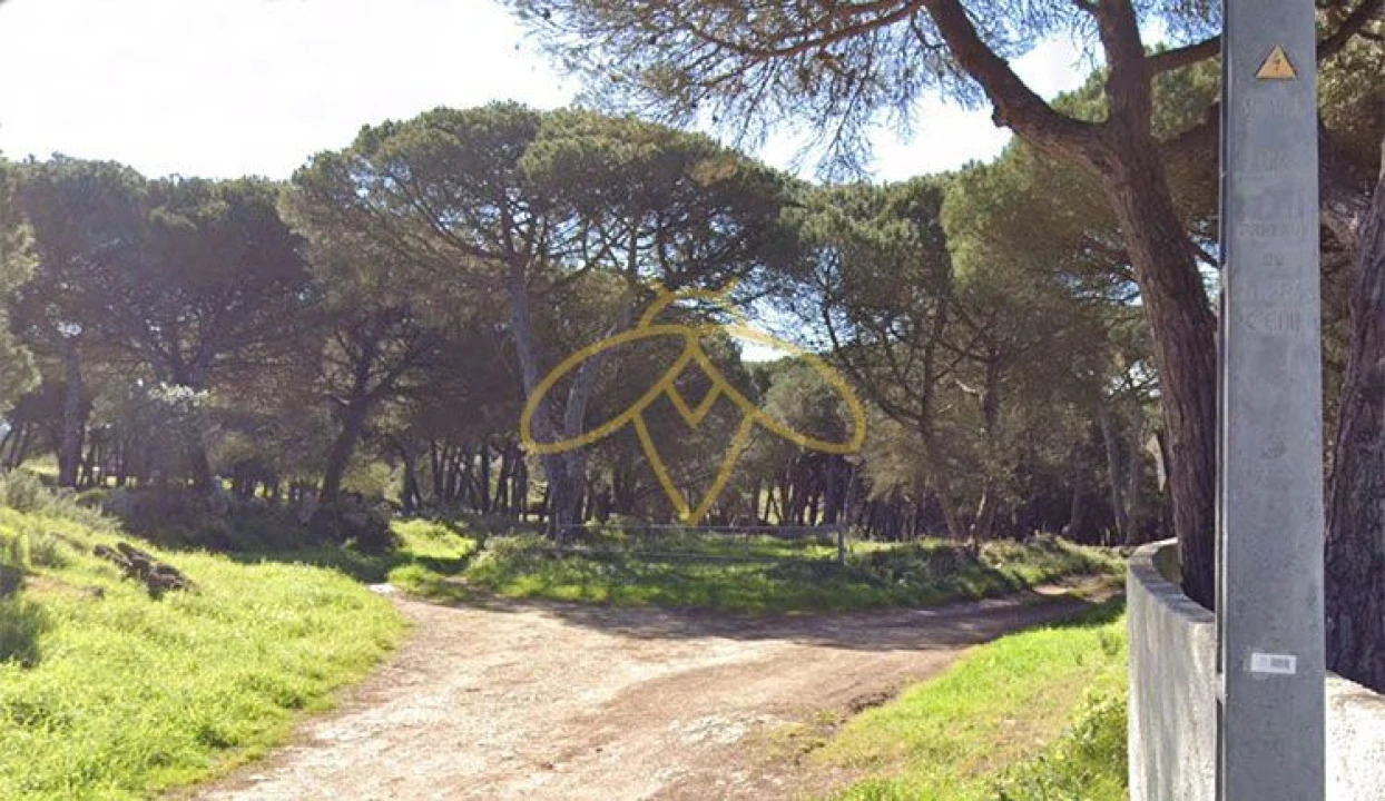 Terreno Agricola ou Rústico para Venda em Agualva e Mira-Sintra Foto 2