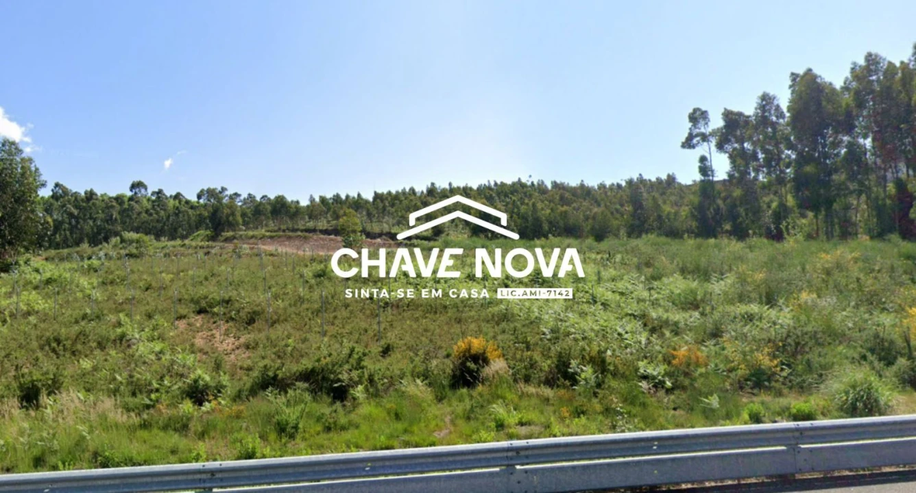 Terreno Agricola ou Rústico para Venda em Argoncilhe Foto 5