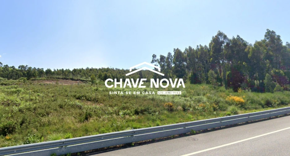 Terreno Agricola ou Rústico para Venda em Argoncilhe Foto 4