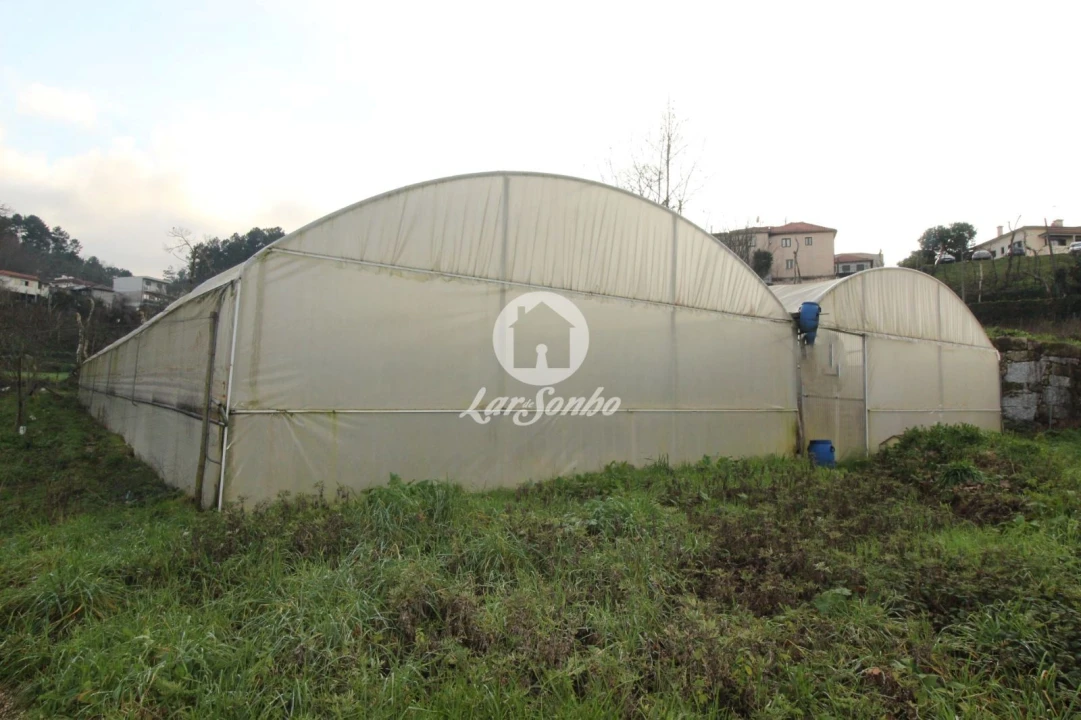 Terreno Agricola ou Rústico para Venda em Silvares (São Martinho) Foto 1