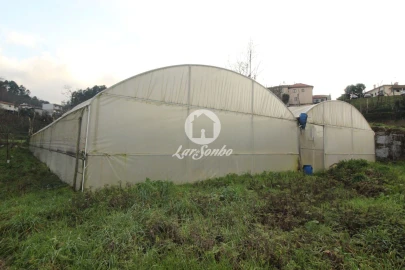 Terreno Agricola ou Rústico para Venda em Silvares (São Martinho)